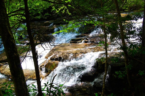 Lin and Michael's Photos