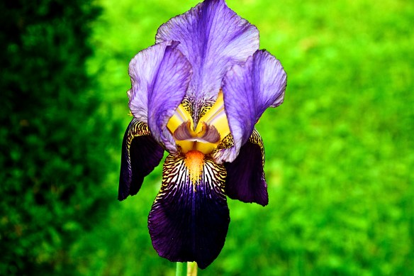 Lin and Michael's Photos