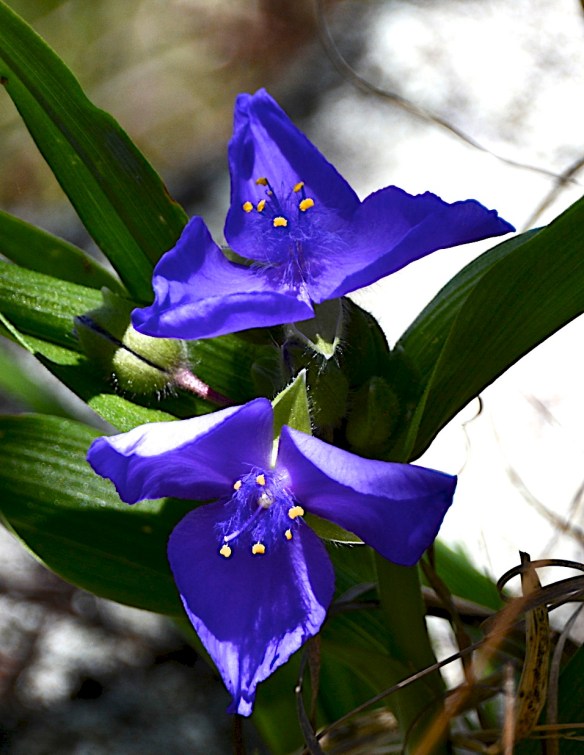 Lin and Michael's Photos