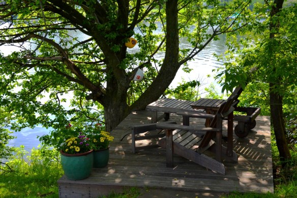 Lin and Michael's Photos