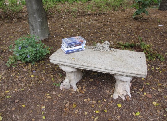 Lin and Michael's Photos