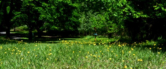 Lin and Michael's Photos