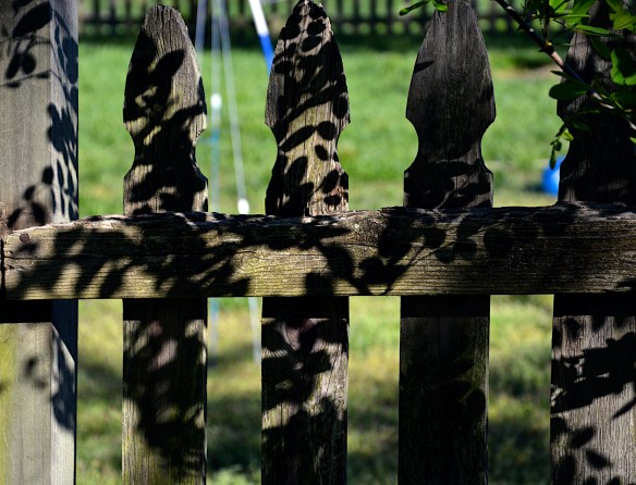 Lin and Michael's Photos