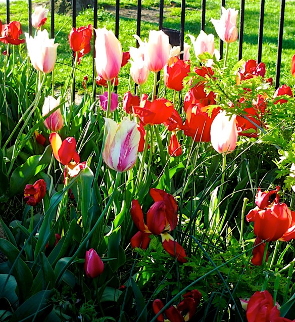 Lin and Michael's Photos