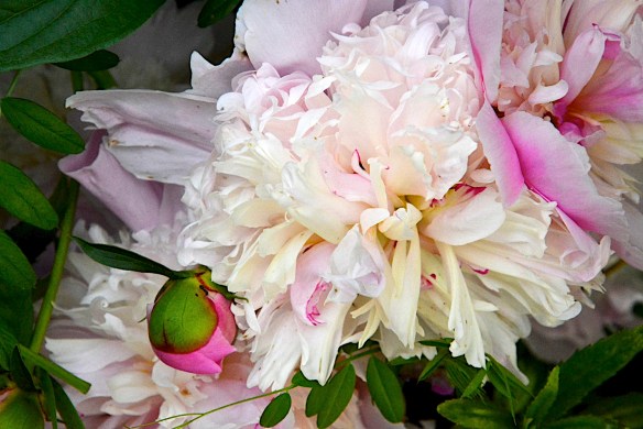 Lin and Michael's Photos