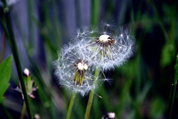 Lin and Michael's Photos