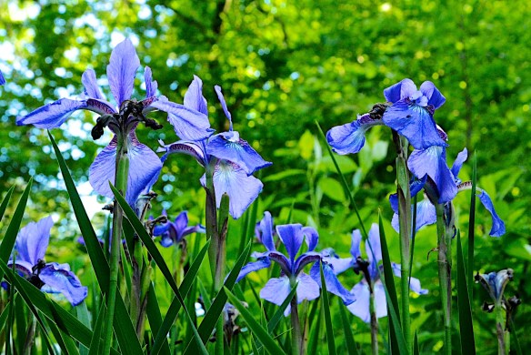 Lin and Michael's Photos