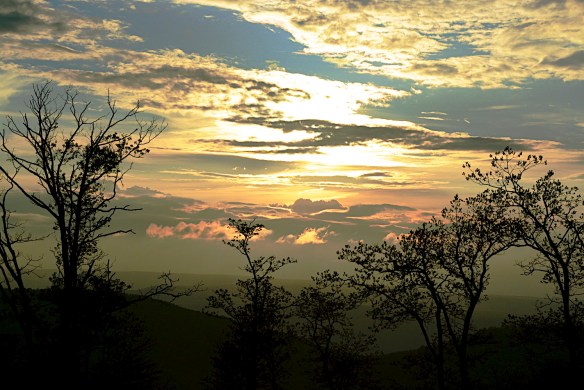 Lin and Michael's Photos