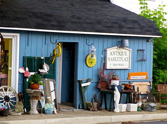 Lin and Michael's Photos