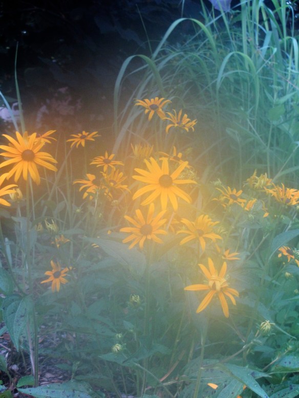 Lin and Michael's Photos