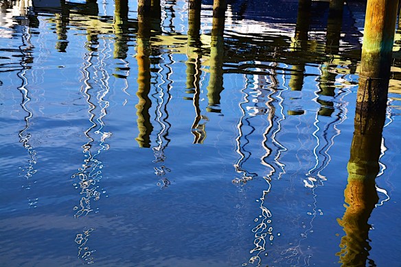 Lin and Michael's Photos