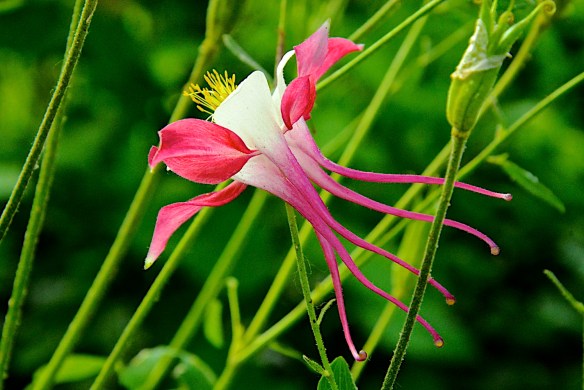 Lin and Michael's Photos