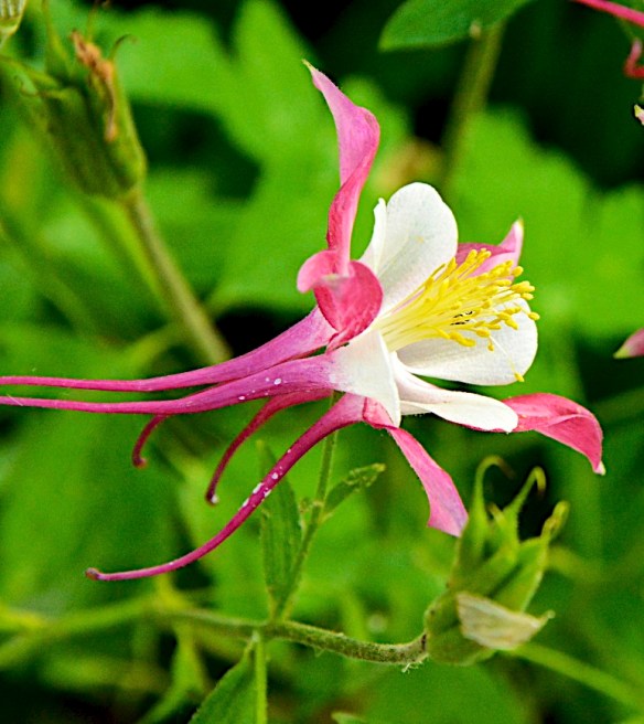 Lin and Michael's Photos