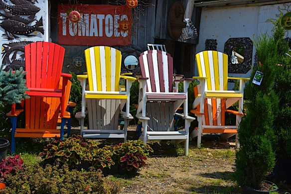 Lin and Michael's Photos