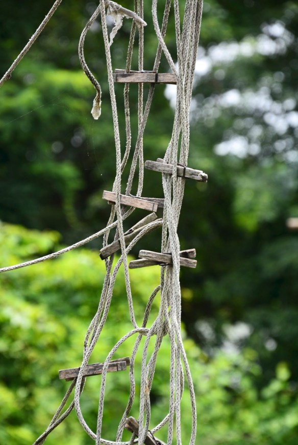 Lin and Michael's Photos