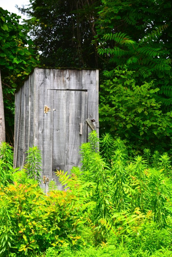 Lin and Michael's Phots