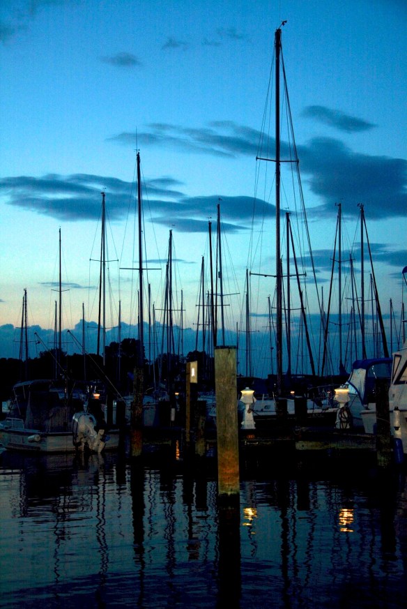 Lin and Michael's Photos