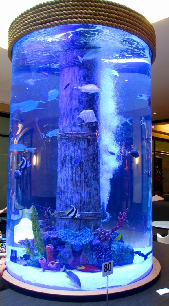 Lin and Michael's Photos