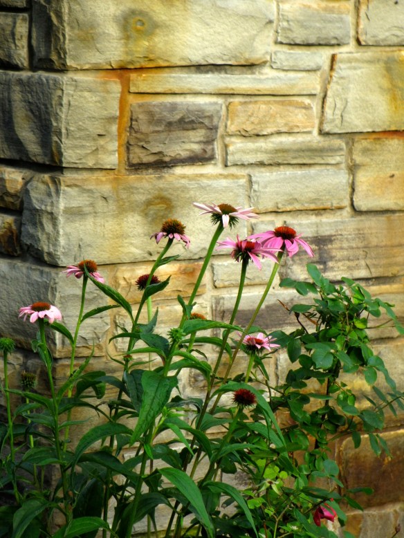 Lin and Michael's Photos