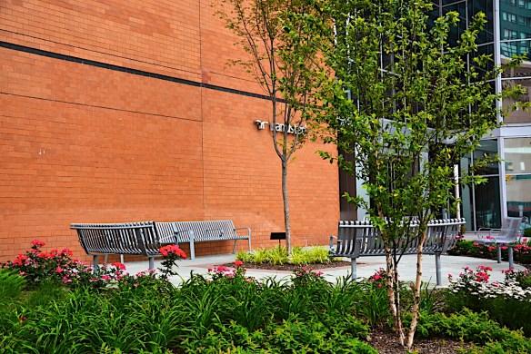 Lin and Michael's Photos