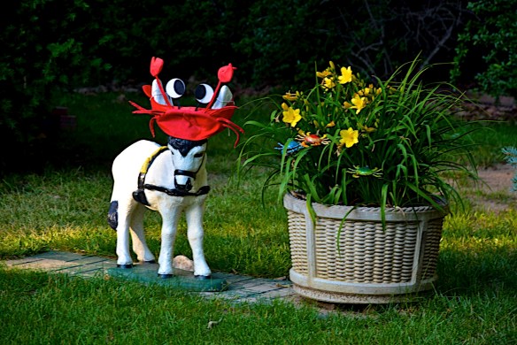 Lin and Michael's Photos