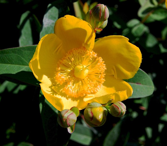 Lin and Michael's Photos