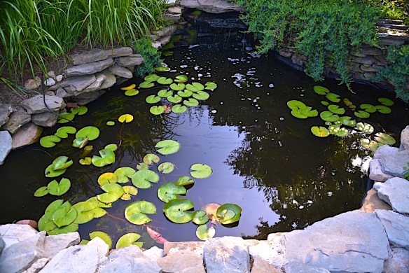 Lin and Michael's Photos