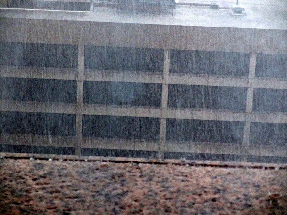 Lin and Michael's Photos