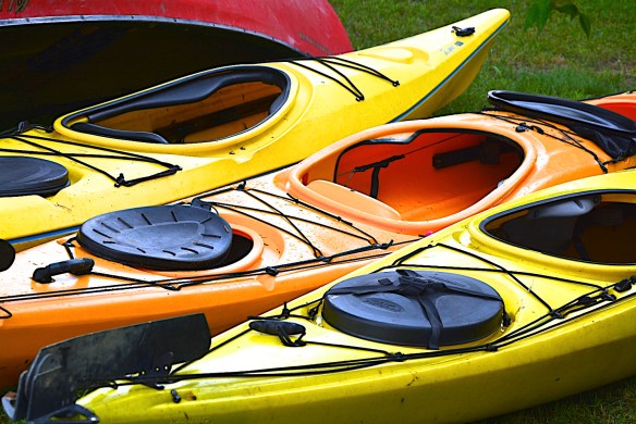 Lin and Michael's Photos