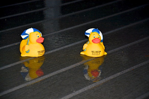 Lin and Michael's Photos