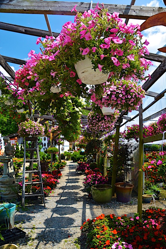 Lin and Michael's Photos