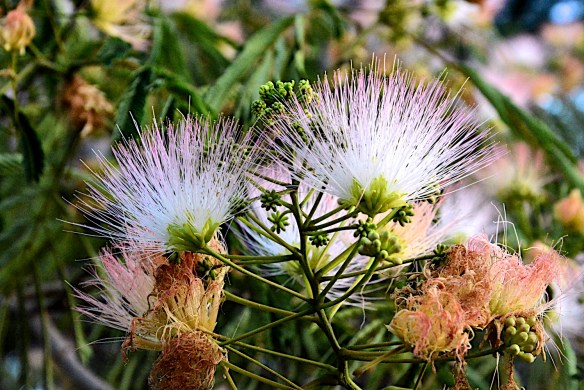 Lin and Michael's Photos