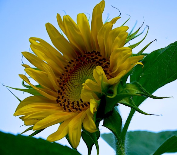 Lin and Michael's Photos