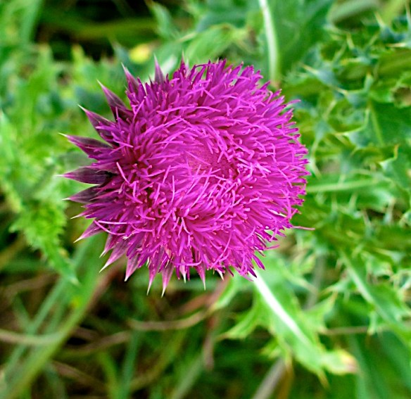 Lin and Michael's Photos