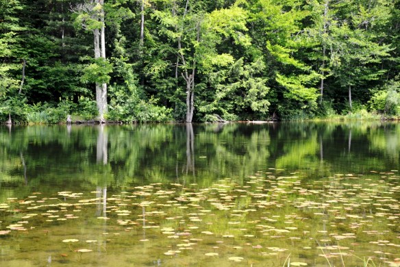 Lin and Michael's Photos