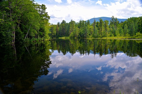 Lin and Michael's Photos