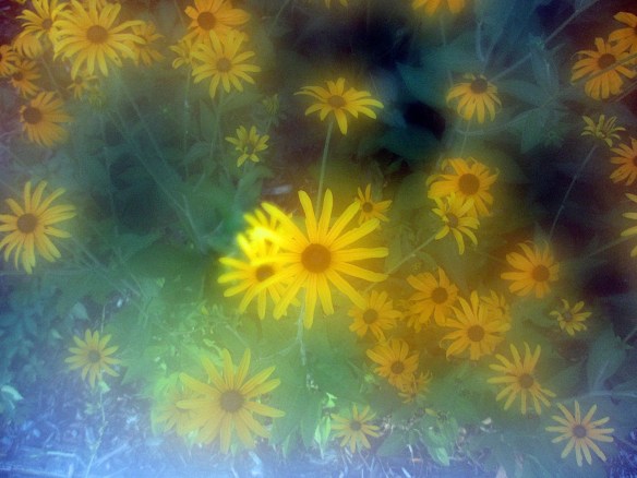 Lin and Michael's Photos