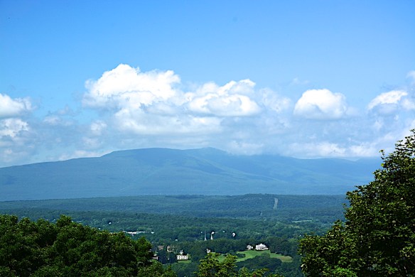 Lin and Michael's Photos