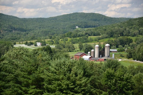 Lin and Michael's Photos