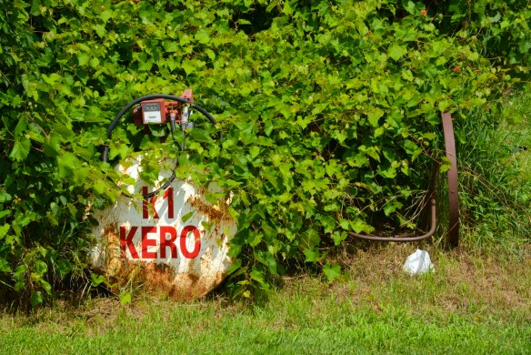 Lin and Michael's Photos