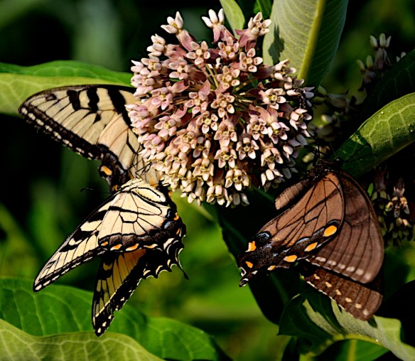 Lin and Michael's Photos