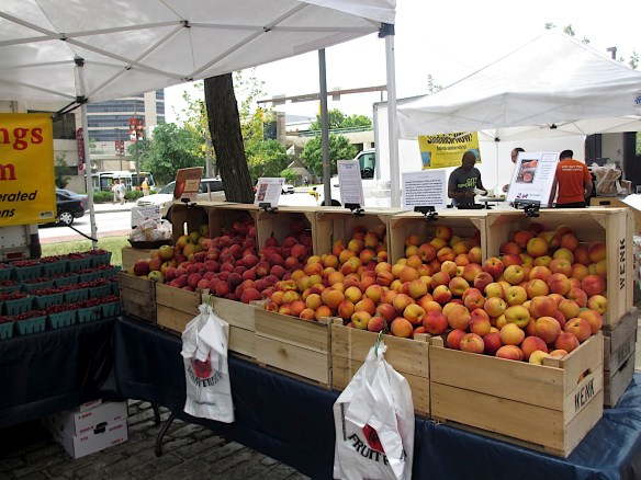 Lin and Michael's Photos