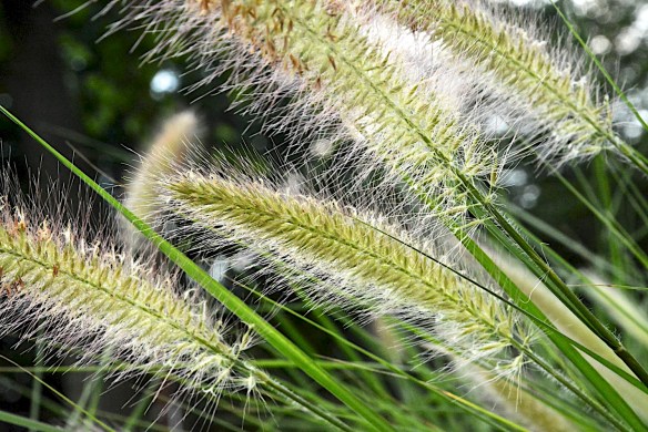 Lin  and Michael's Photos