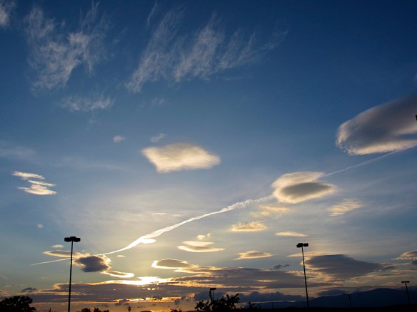 Lin and Michael's Photos