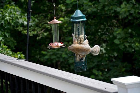 Lin and Michael's Photos