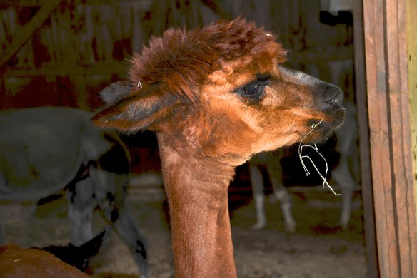 Lin and Michael's Photos