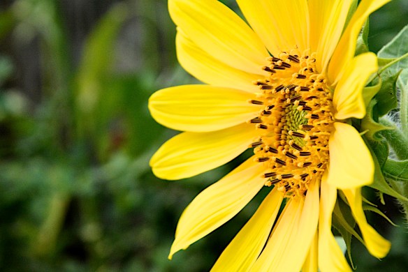 Lin and Michael's Photos