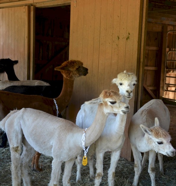 Lin and Michael's Photos