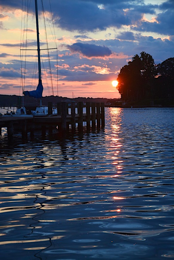 Lin and Michael's Photos