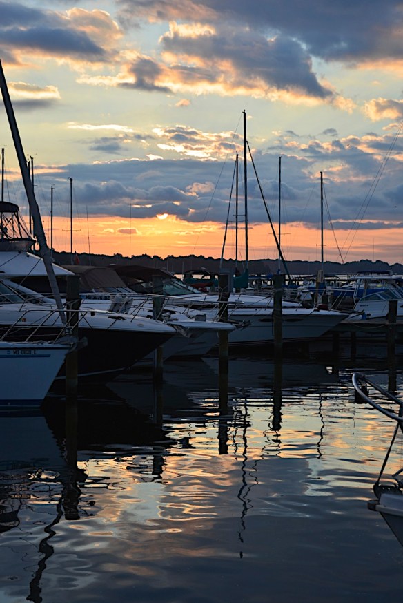 Lin and Michael's Photos